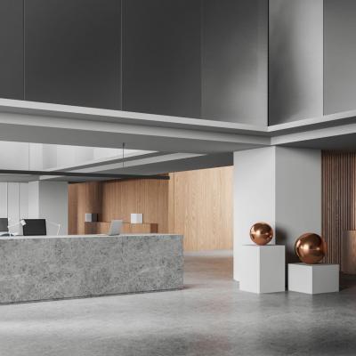 Samm Double Height Minimalist Reception 04