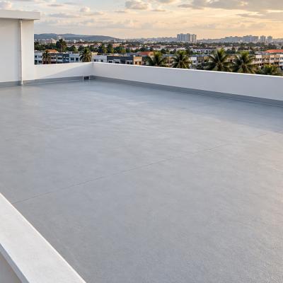 Samm Commercial Flat Roof Perimeter Drainage Concept 02